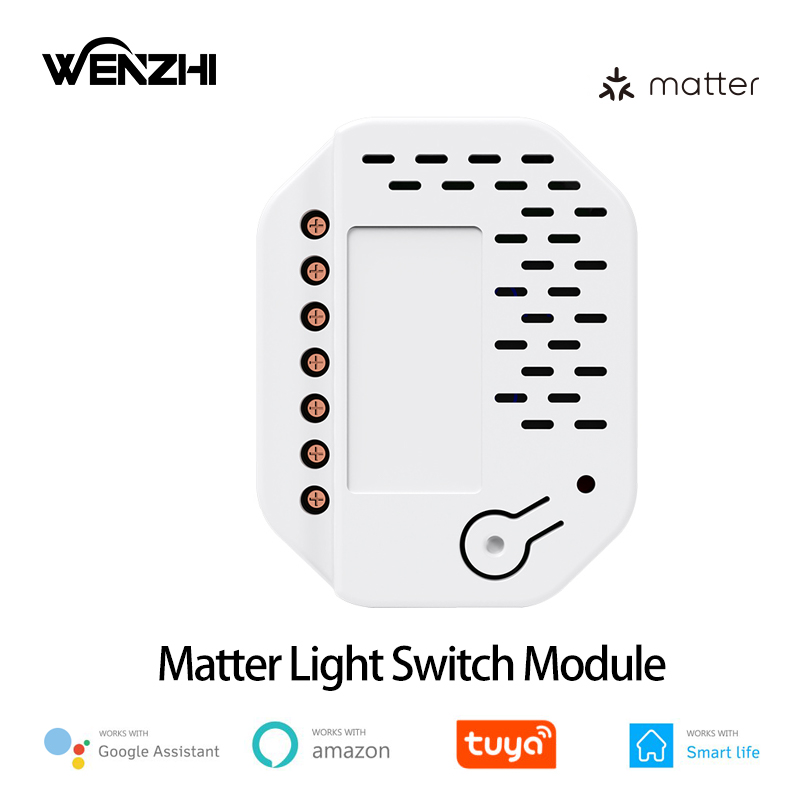 Smart Home Nas - Matter Işık Anahtarı Modülü 2'li Röle